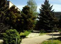  ДОЛ British House, Щебетовка 