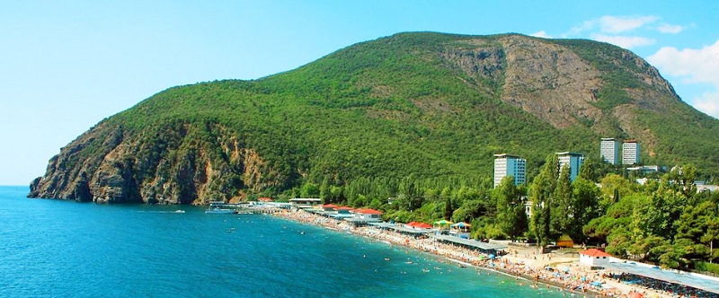 Hotel Flamingo, Partenit